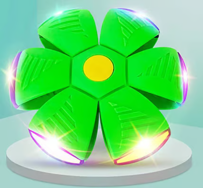 💥The Doggy Disc Ball💞