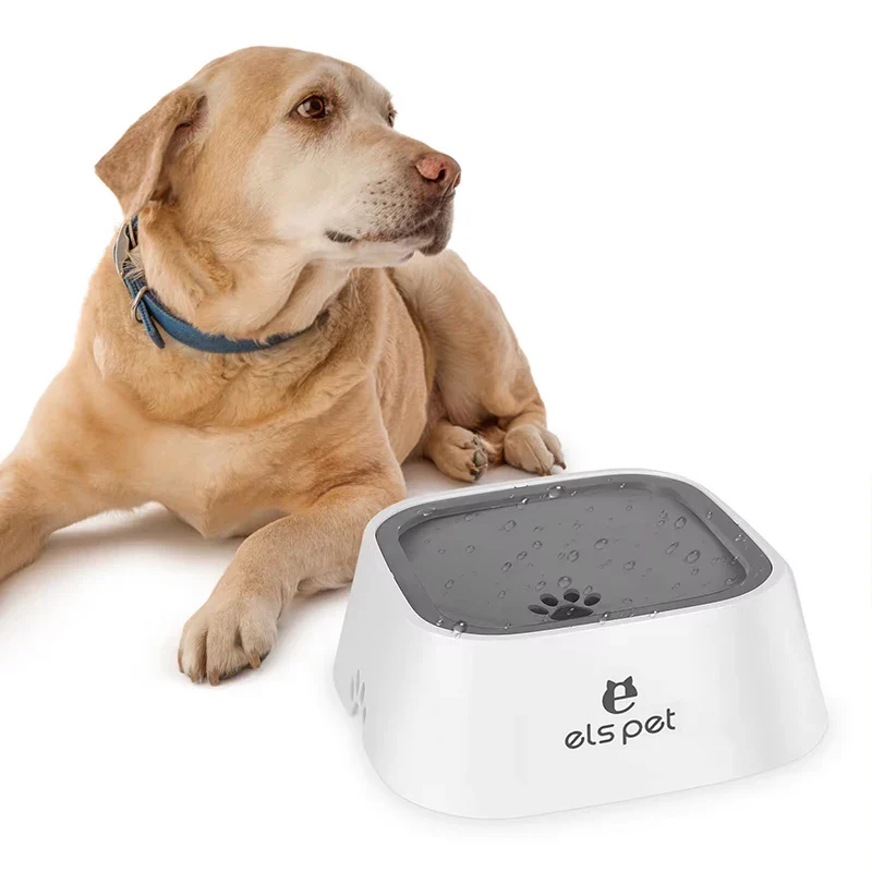 Pet Spill-Proof Slow Feeding Water Bowl