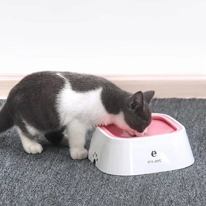 Pet Spill-Proof Slow Feeding Water Bowl