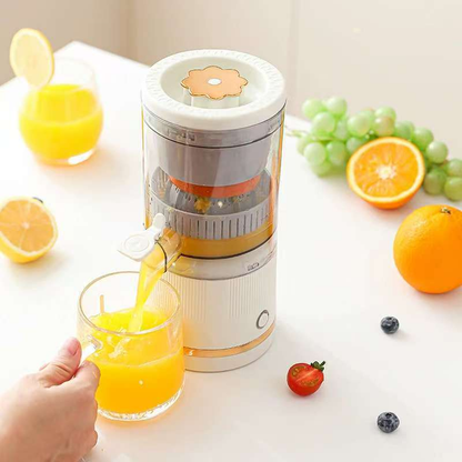 Portable citrus juicer with USB and cleaning brush