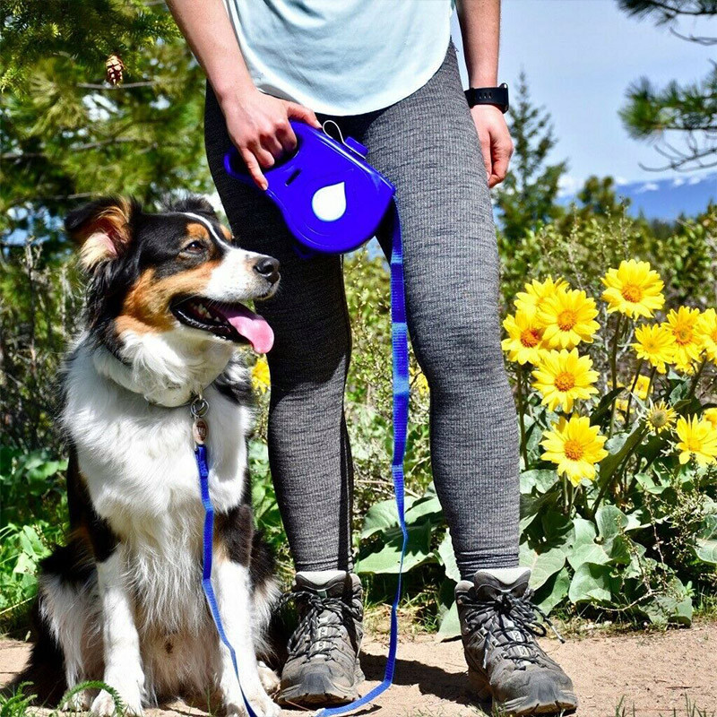 Multi-purpose leash 4 feet with food and water fountain, dog leash